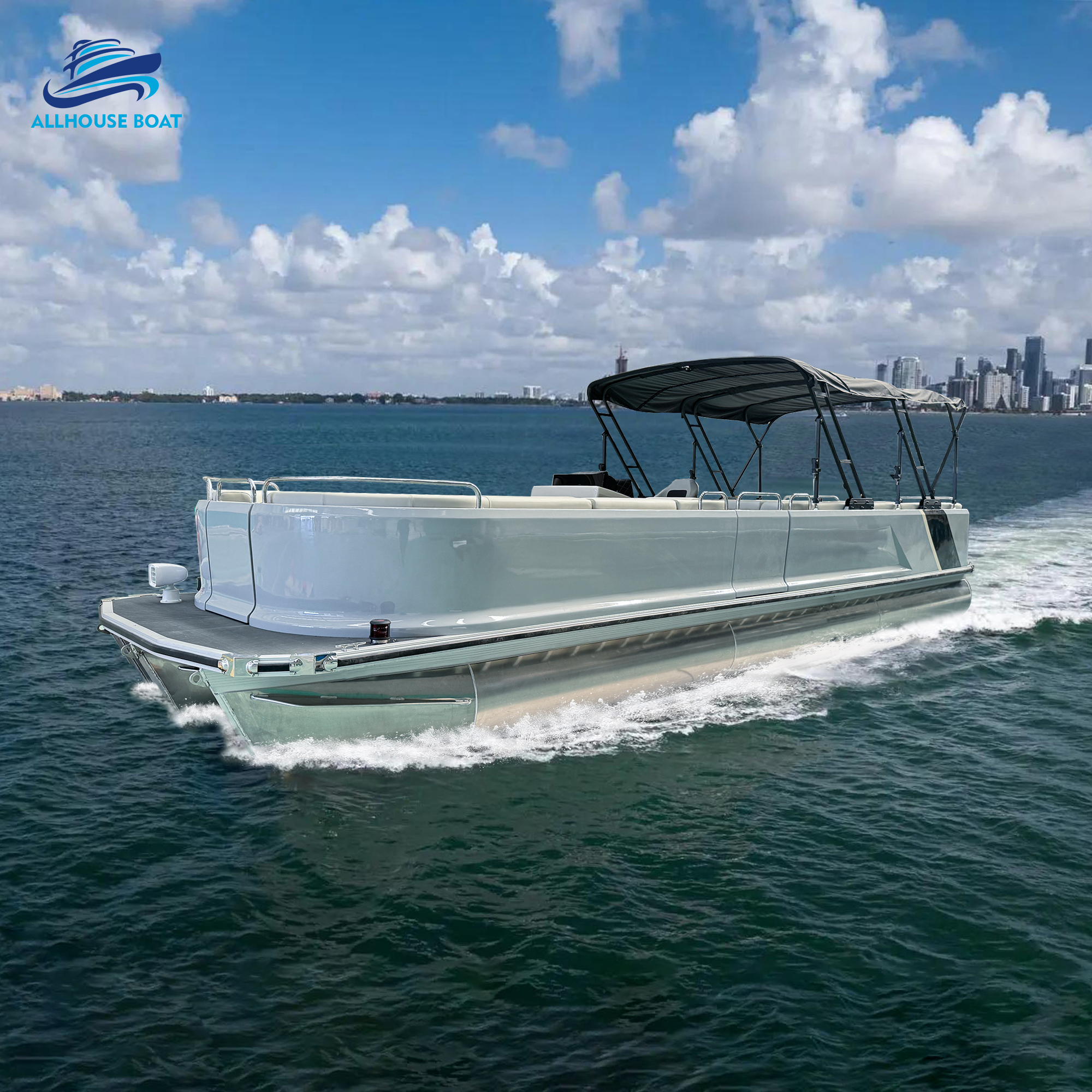 30FT Pontoon Boat