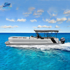 30FT Pontoon Boat