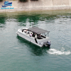 30FT Pontoon Boat
